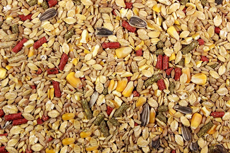Leach Hamster Mix, 25 lb.
