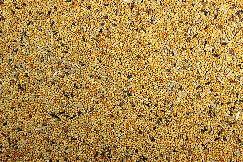 Leach Royal Finch Mix 50 LB.