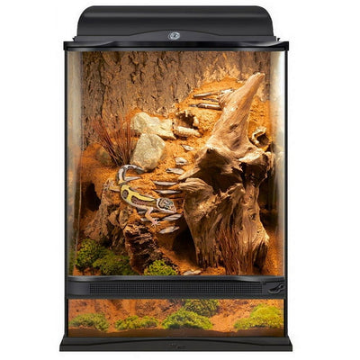 TERRARIUM NATURLSTC 12X12X18 1